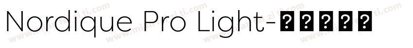 Nordique Pro Light字体转换